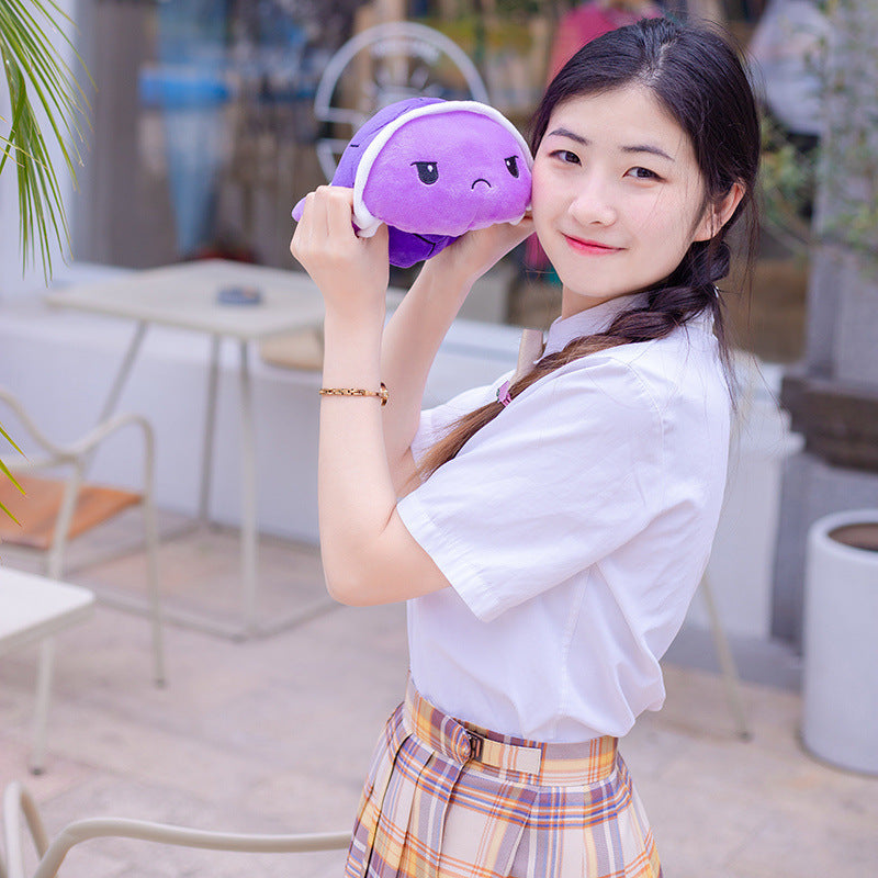 Flip Little Turtle Plush Toy (Double-sided)